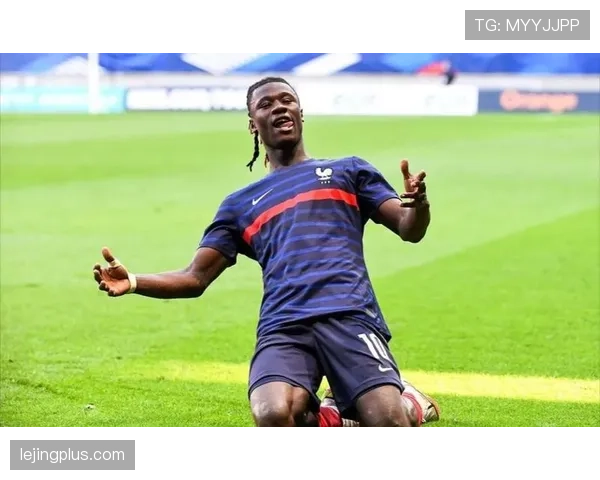 卡马文加：解析法国队史最年轻出场球员的崛起逻辑与成长上限